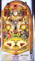 Image # 7378: Merry-Go-Round Playfield