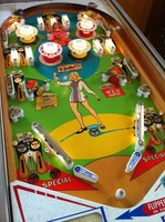 Image # 52783: Mibs Illuminated Playfield