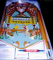 Image # 1551: Mini Pool Playfield