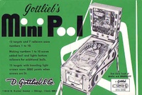 Image # 7765: Mini Pool Flyer