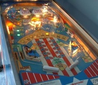 Image # 13719: New World Illuminated Playfield