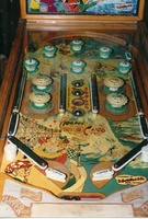 Image # 1602: Niagara Playfield