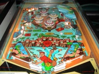 Image # 19256: Nip-It Illuminated Playfield