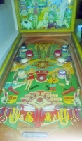 Image # 62014: Old Faithful Playfield 
(The cabinet has been repainted. Serial number 021367 OF.)