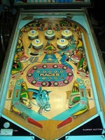 Image # 24158: Paddock Playfield