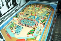 Image # 12839: Paddock Playfield