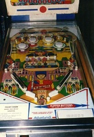 Image # 1691: Palace Guard Playfield