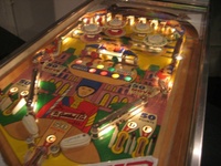 Image # 48270: Palace Guard Illuminated Playfield