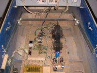 Image # 30968: Panthera Inside Cabinet