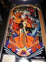 Image # 29783: Panthera Playfield