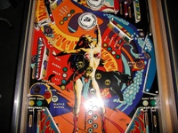 Image # 29786: Panthera Middle Playfield
