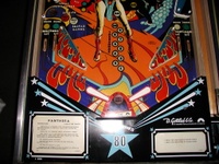 Image # 29787: Panthera Lower Playfield