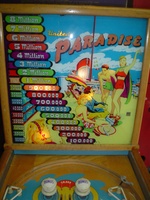 Image # 62120: Paradise Backglass