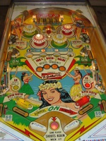 Image # 15521: Paradise Illuminated Playfield