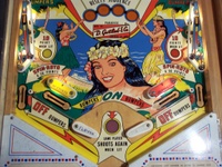 Image # 31459: Paradise Sample Game - Lower Playfield 
(Not discernable in this image, the highest point of each flipper inlane has the words '10 points' painted over in yellow. A thin red arrow still points outward from this area. Serial number '01081 S'.)