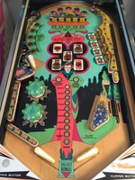 Image # 65868: Pat Hand Playfield