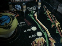 Image # 19946: Barracora Playfield - Detail
