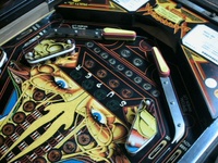 Image # 19950: Barracora Lower Playfield