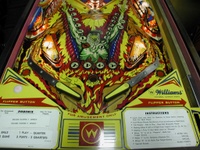 Image # 7965: Phoenix Playfield Bottom