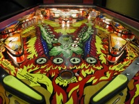 Image # 7966: Phoenix Flipper View