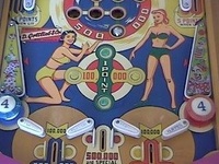 Image # 13783: Pin Wheel Lower Playfield