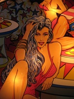 Image # 59251: Pinball Champ Backglass - Detail