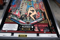 Image # 29302: Playboy 35th Anniversary Lower Playfield