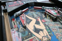 Image # 29312: Playboy 35th Anniversary Lower Playfield