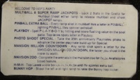 Image # 60685: Playboy 35th Anniversary Instruction Card