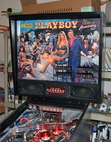 Image # 29295: Playboy 35th Anniversary Illuminated Translite