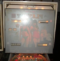 Image # 19011: Playboy Backglass - Reverse