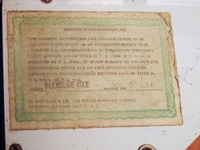 Image # 66836: Pleasure Isle Manufacturer Certificate 
(The serial number on this playfield appears to be 0?134 or 0?194. The cabinet has serial number 08195.)
