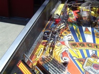 Image # 61810: Police Force Lower Left Playfield