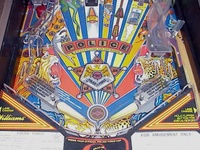 Image # 26500: Police Force Lower Playfield
