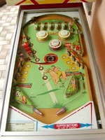 Image # 18222: Polo Playfield