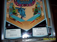 Image # 22875: Post Time Lower Playfield