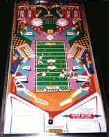 Image # 1797: Pro-Football Playfield