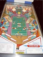 Image # 10953: Pro-Football Playfield