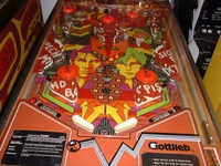 Image # 46627: Punk! Lower Playfield 
(Several drop targets are not original to this game.)