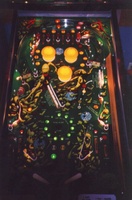 Image # 11993: Quicksilver Lit Playfield