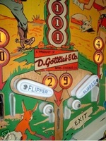 Image # 25395: Rainbow Flipper Area