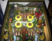 Image # 14380: Raven Upper Playfield