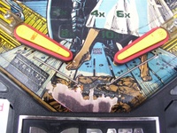 Image # 35841: Batman Flippers