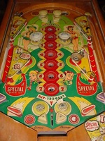 Image # 27454: Rip Snorter Playfield