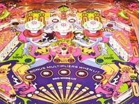 Image # 1919: Roller Disco Playfield