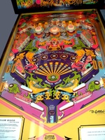 Image # 8469: Roller Disco Playfield