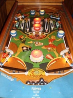 Image # 46817: Rose-Bowl Illuminated Playfield