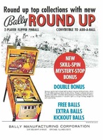 Image # 7783: Round Up Flyer
