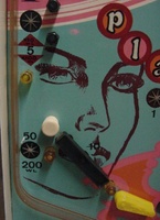 Image # 30228: Play boy Playfield - Detail