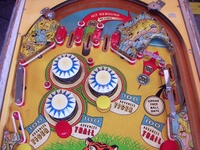 Image # 69108: Safari Upper Playfield 
(Serial number 1354.)